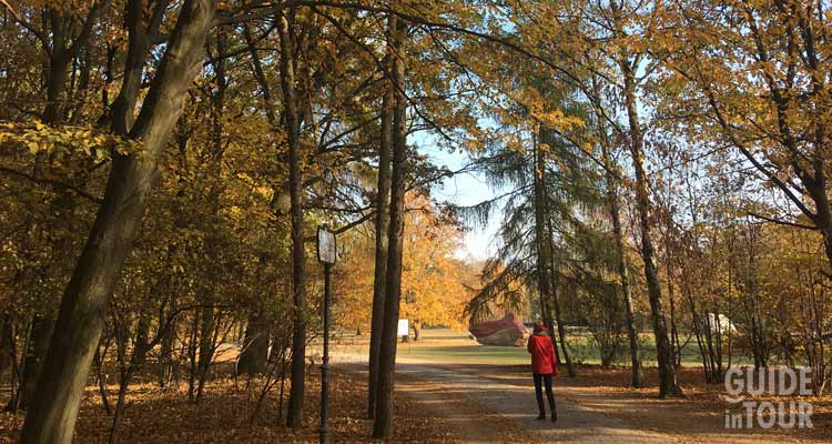 I colori autunnali in un parco di Berlino.