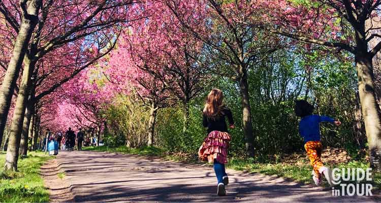 Bambini corrono lungo un viale alberato con alberi in fioritura. Il meteto di Berlino in primavera può essere piovoso e nelle giornate di sole tutti escono a camminare nei parchi.